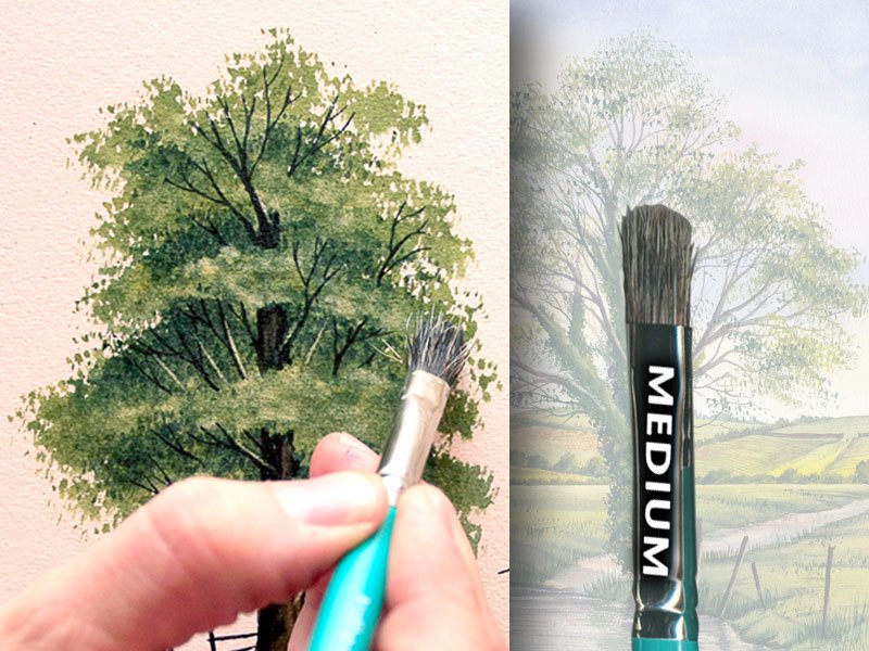 zoom_Matthew_Palmer_Tree__Texture_Brush___Medium_1