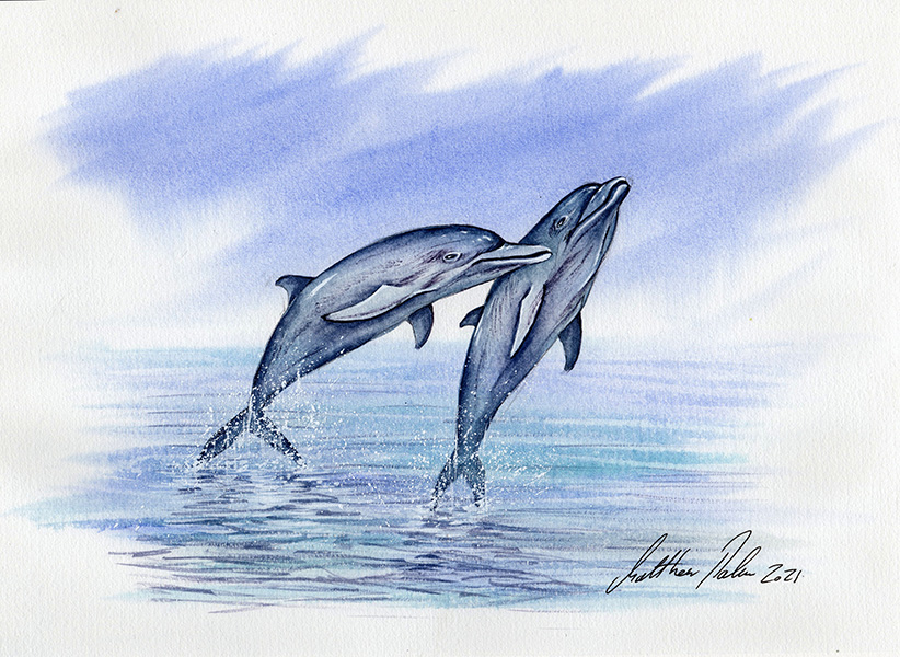 Dolphins leaping in the sea