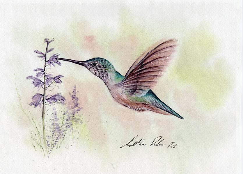 Hummingbird