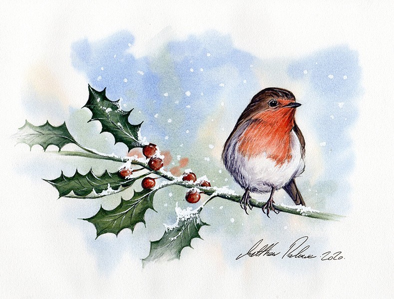 Robin on Holly