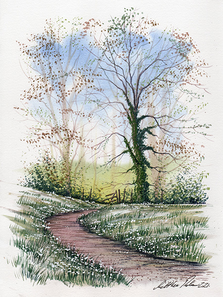 Snowdrops in woodland