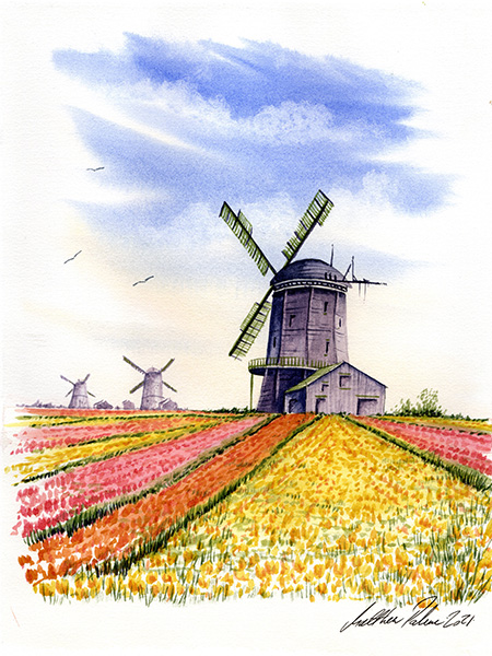 Tulip fields and windmills