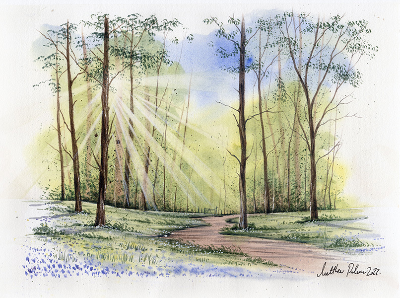 Woodland with beams of light and flowers