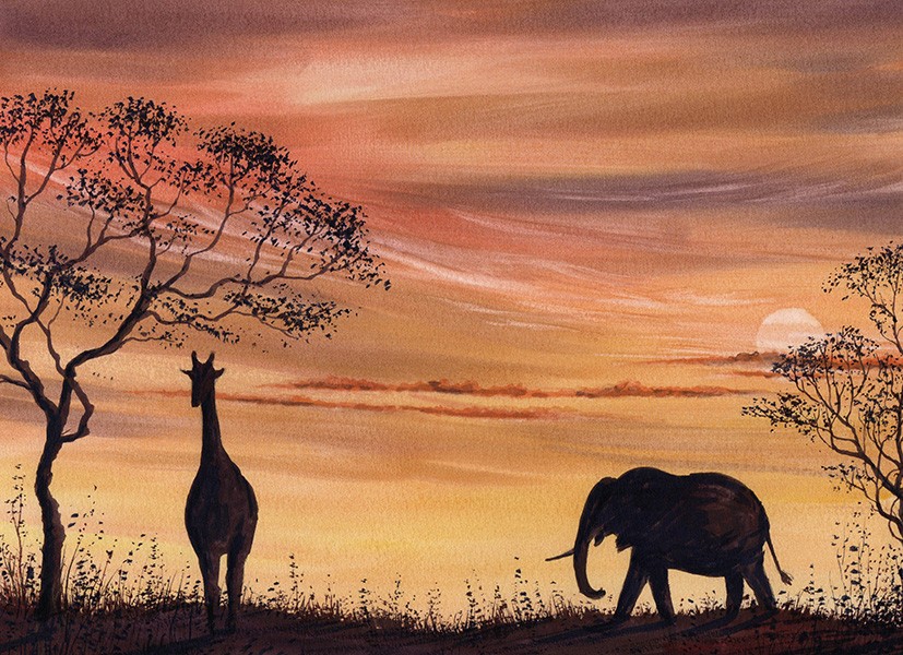 final safari copy